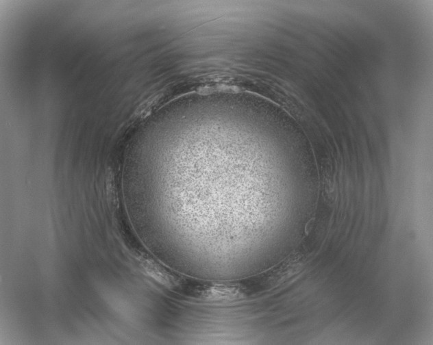 X0000061110270200512022133