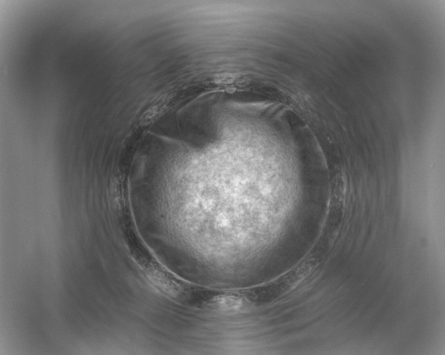 X0000061110272200512022133