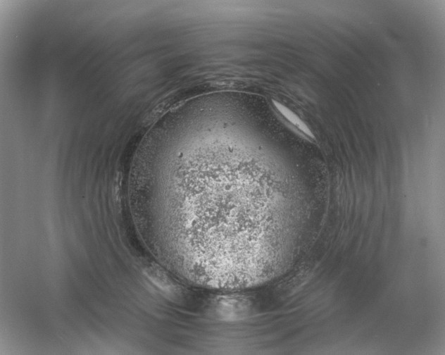 X0000061110275200512022133