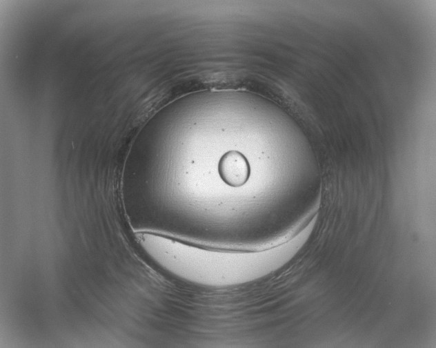 X0000061110277200512022134