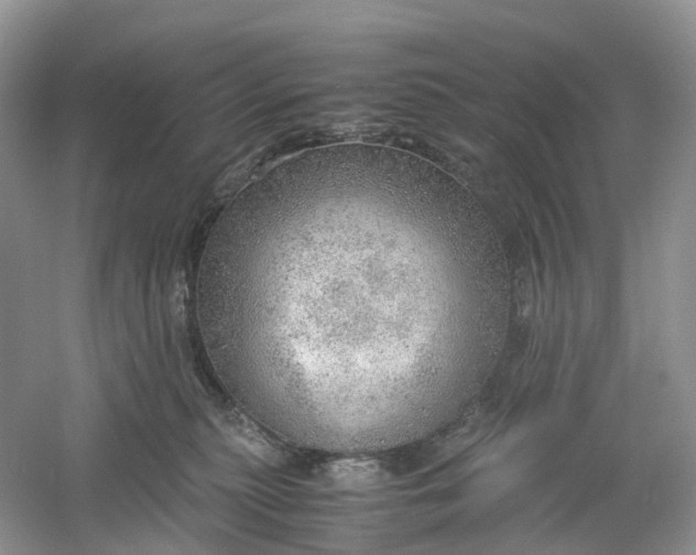 X0000061110279200512022134