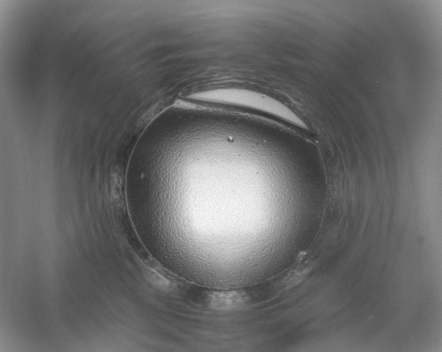 X0000061110281200512022134