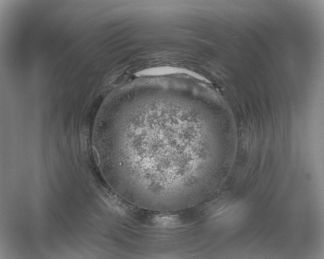 X0000061110283200512022134