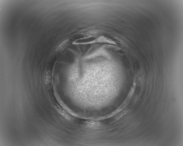 X0000061110284200512022134