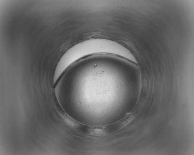 X0000061110285200512022134