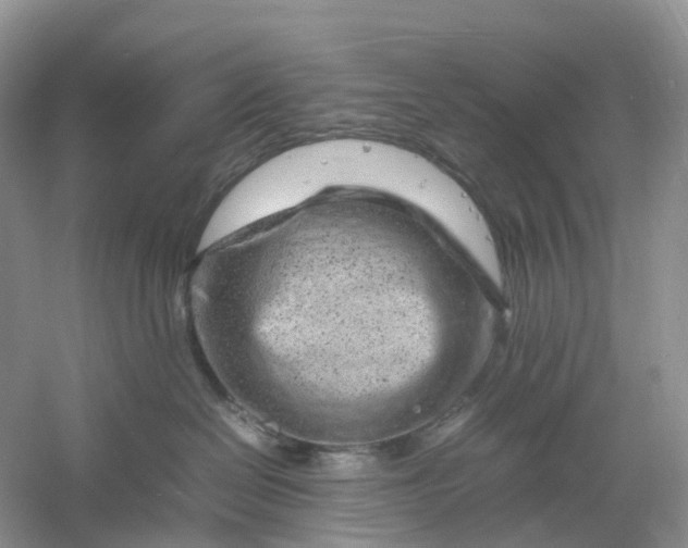 X0000061110286200512022134