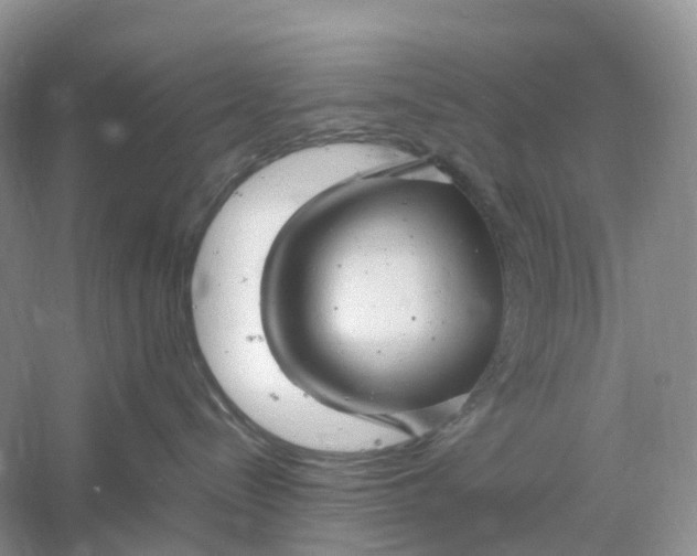 X0000061110288200512022134