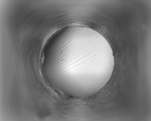 X0000061110289200512022133