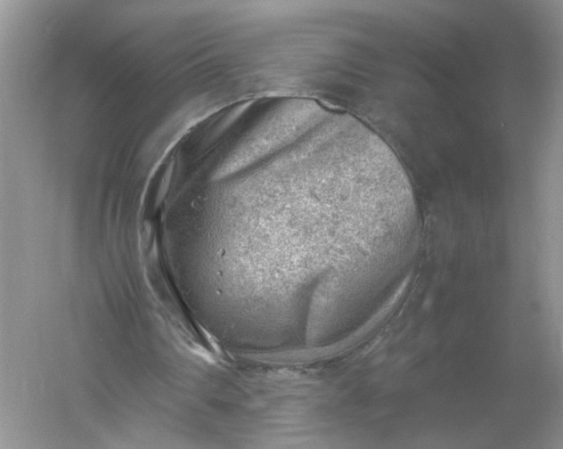 X0000061110290200512022133