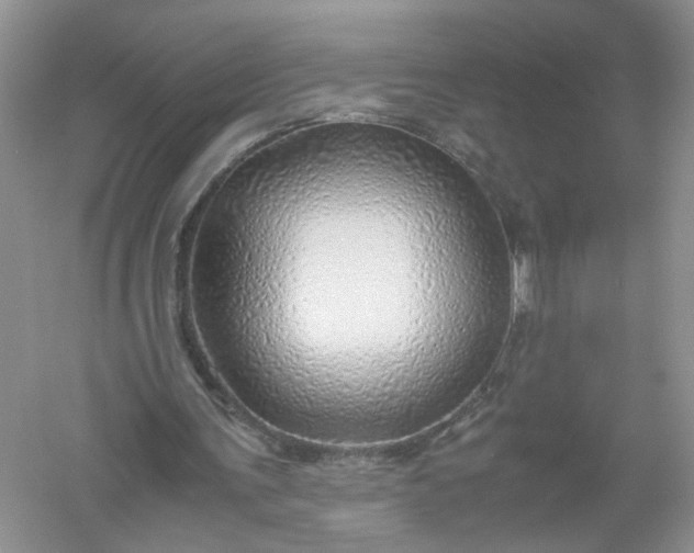 X0000061110291200512022133