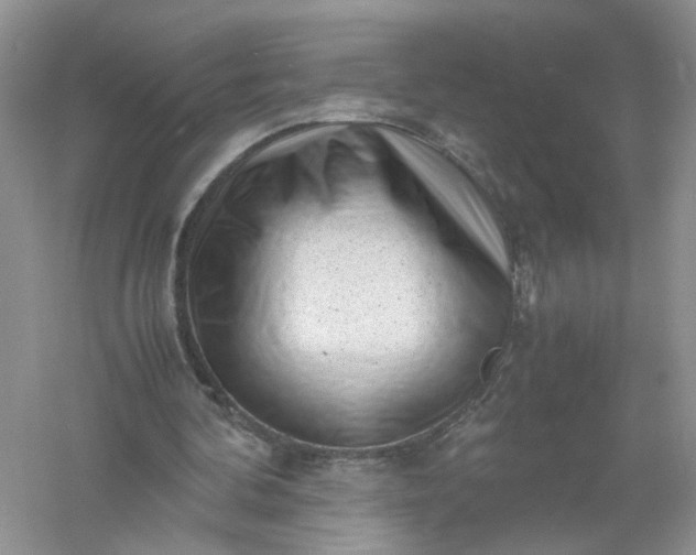 X0000061110292200512022133