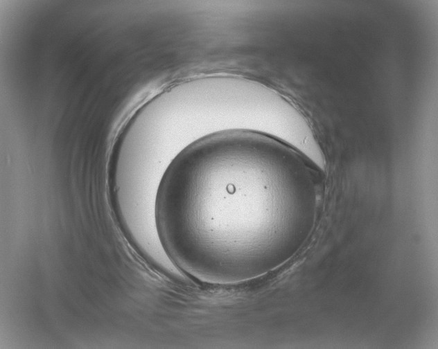 X0000061110293200512022133