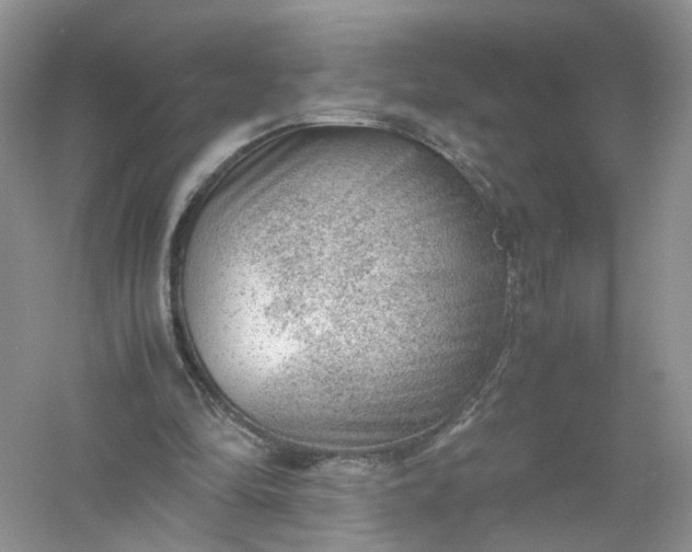 X0000061110294200512022133