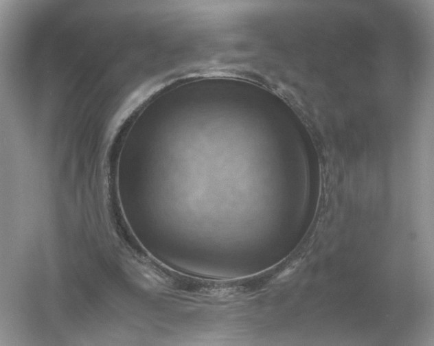 X0000061110295200512022133