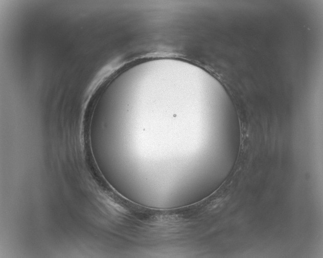 X0000061110296200512022133