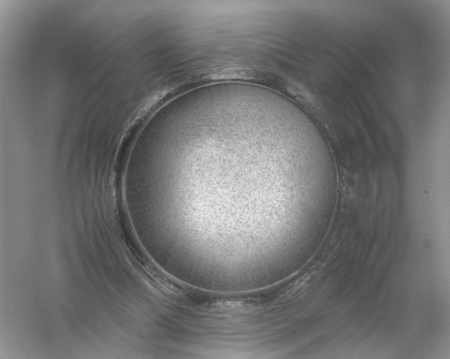 X0000061110298200512022133