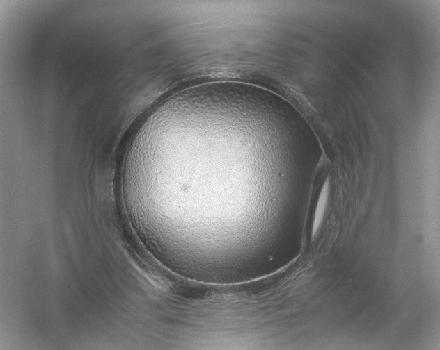 X0000061110299200512022133