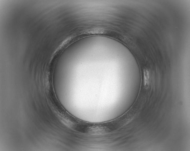 X0000061110300200512022133