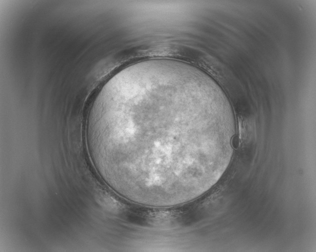 X0000061110301200512022133