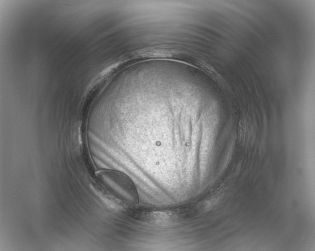 X0000061110302200512022133