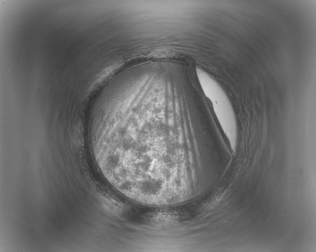 X0000061110303200512022133