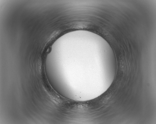 X0000061110304200512022133