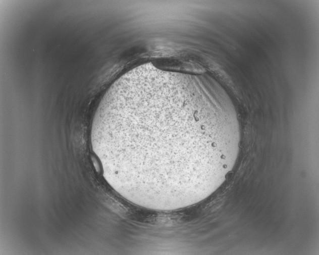 X0000061110305200512022133