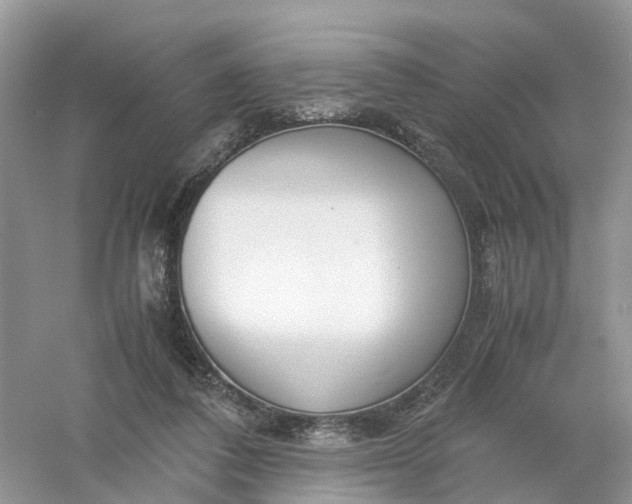 X0000061110308200512022133