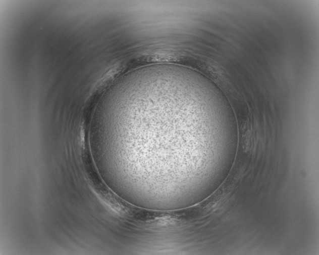 X0000061110310200512022132