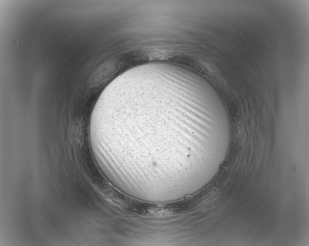 X0000061110311200512022132