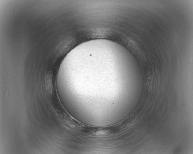 X0000061110312200512022132