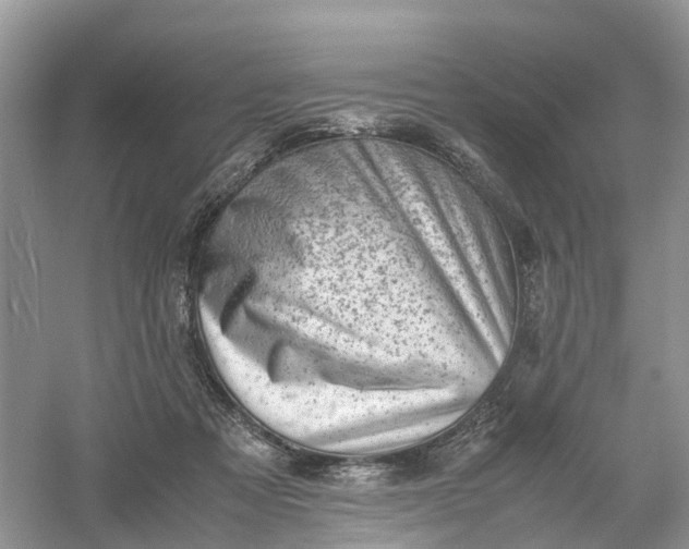 X0000061110313200512022132