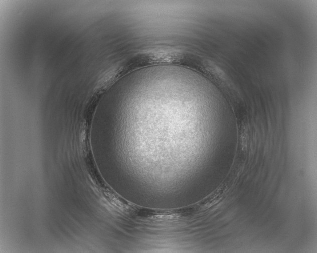 X0000061110314200512022132