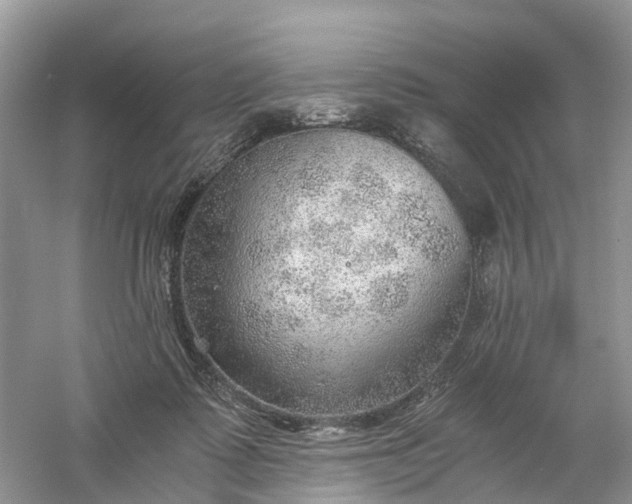 X0000061110315200512022132