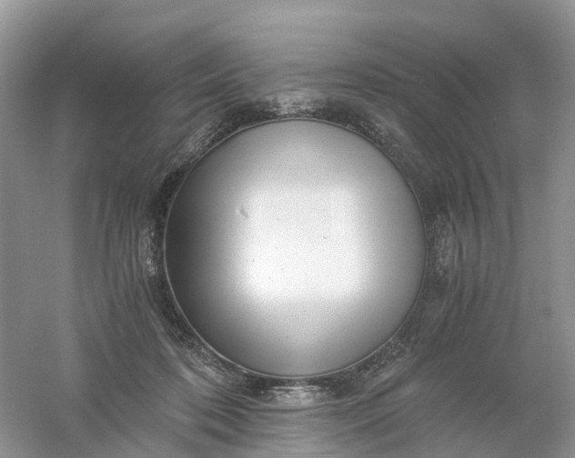 X0000061110316200512022132