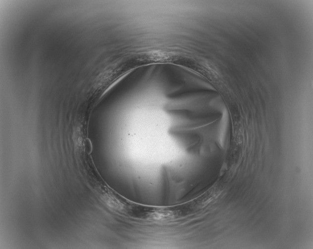 X0000061110317200512022132