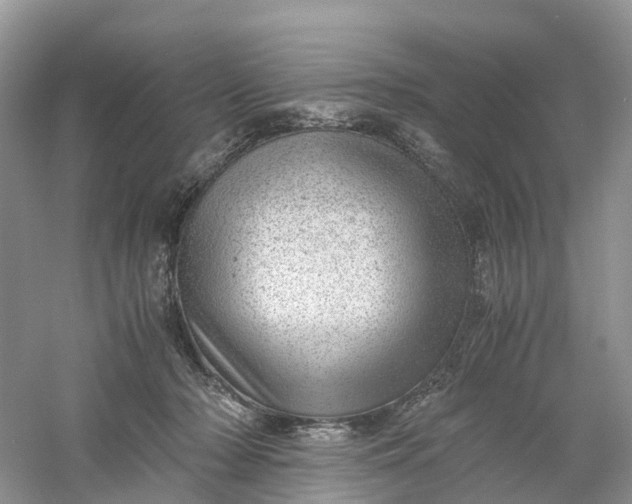 X0000061110318200512022132