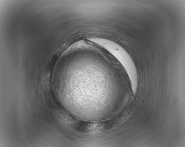 X0000061110319200512022132