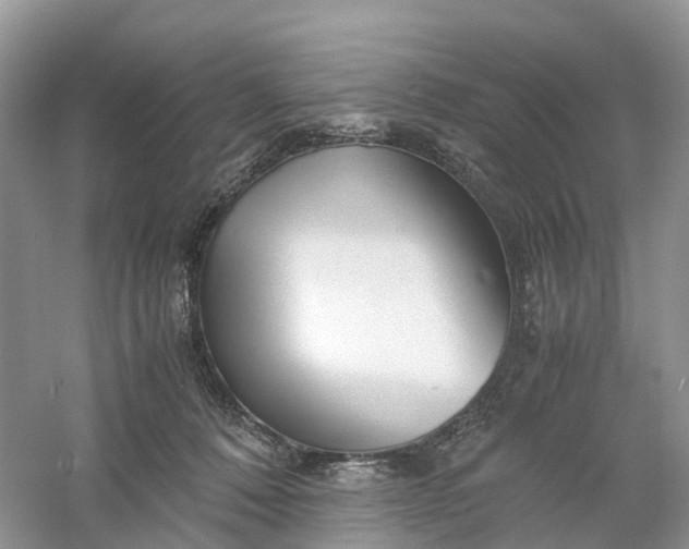 X0000061110320200512022132