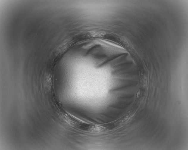 X0000061110321200512022132