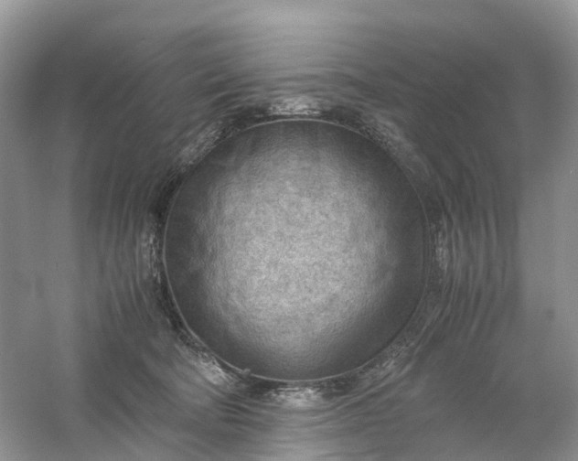 X0000061110322200512022132