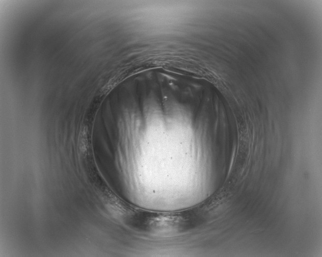 X0000061110323200512022132