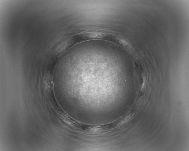 X0000061110325200512022132