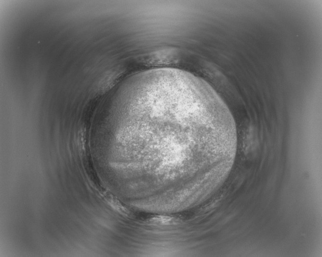 X0000061110326200512022132