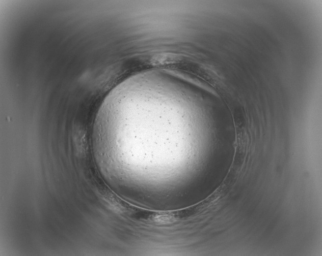 X0000061110327200512022132