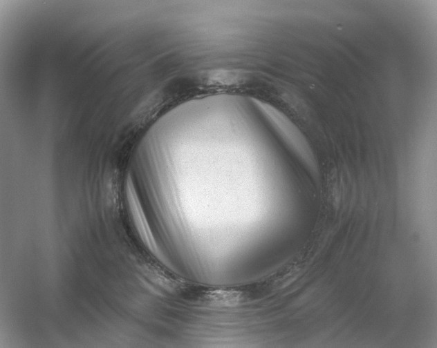 X0000061110328200512022132