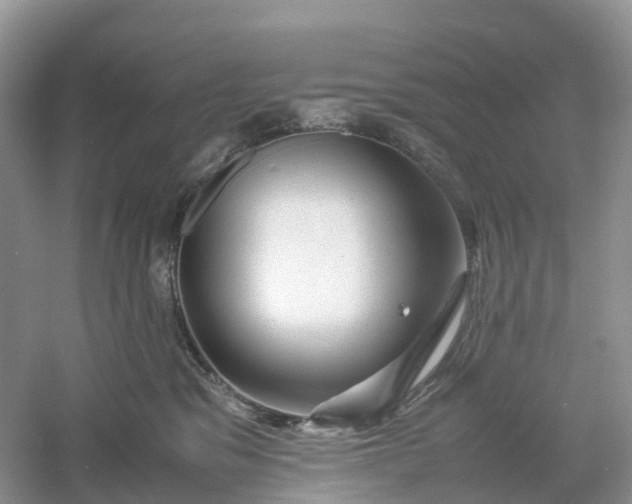 X0000061110329200512022132