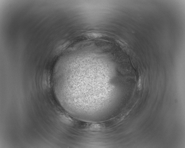 X0000061110330200512022132