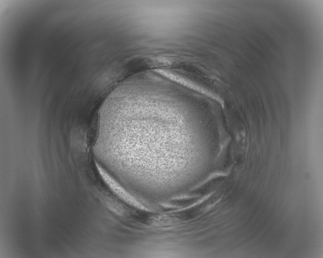 X0000061110331200512022132