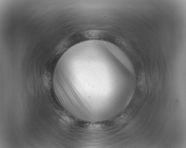 X0000061110332200512022132